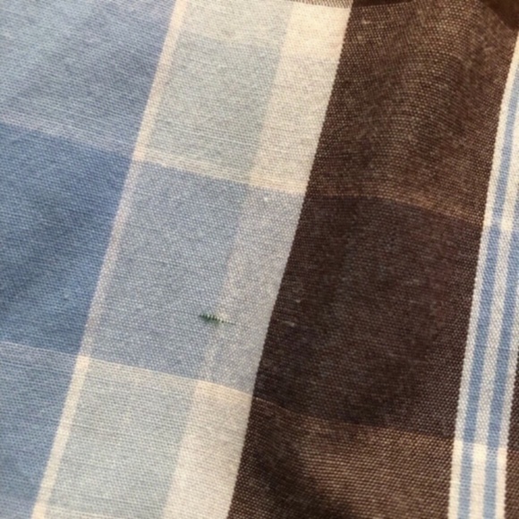 Beverly Hills Polo Club Blue and Brown Polo Shirt - Picture 8 of 9